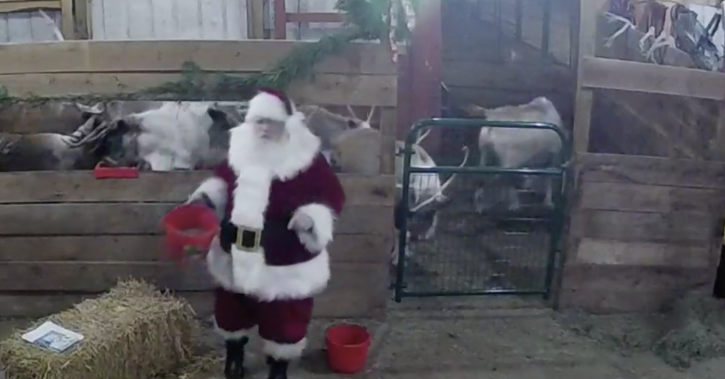 သင့်ကလေးများသည် ဤ Live Reindeer Cam တွင် Santa နှင့် Reindeer တို့ကို ကြည့်ရှုနိုင်သည်။