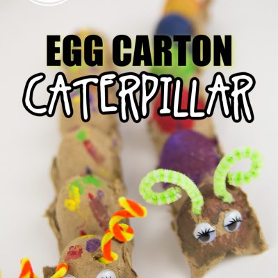 Maklike eierkarton Caterpillar Craft