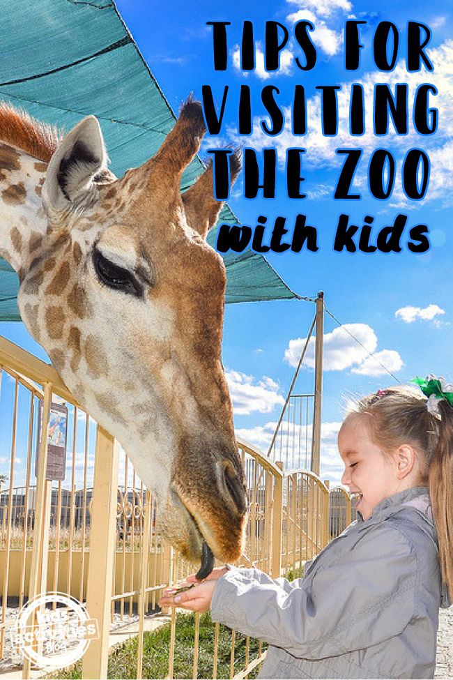 10 consells per a un viatge fantàstic al zoo