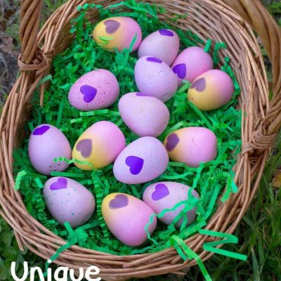 Spremenite svoj lov na velikonočna jajca z jajci Hatchimal