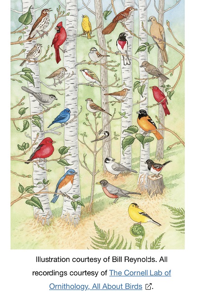 આ ઇન્ટરેક્ટિવ બર્ડ મેપ તમને વિવિધ પક્ષીઓના અનોખા ગીતો સાંભળવા દે છે અને તમારા બાળકોને તે ગમશે