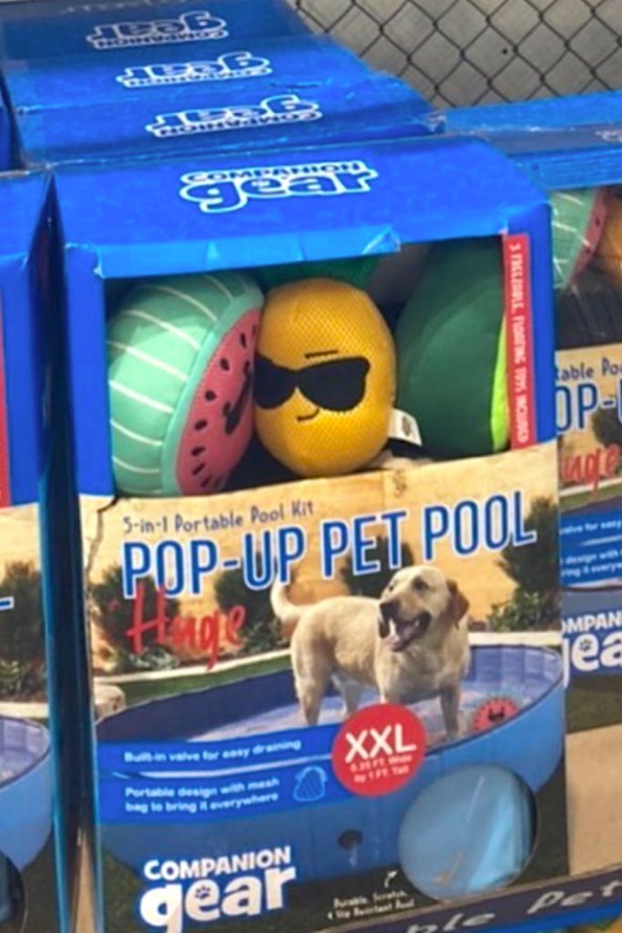 Costco ven una piscina emergent per al teu gos i és perfecta per mantenir els teus amics peluts frescos aquest estiu