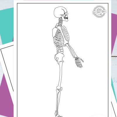 Mellores páxinas gratuítas para colorear de esqueleto