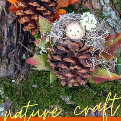 Woodland Pinecone Fairy Nature Craft pro děti